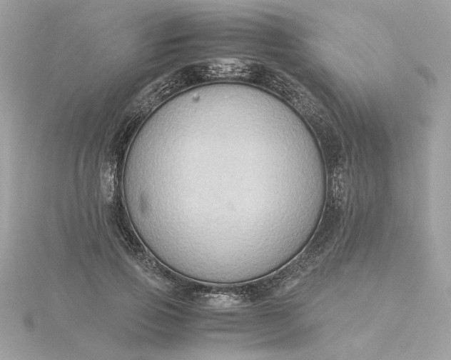 X0000116060741200912041853