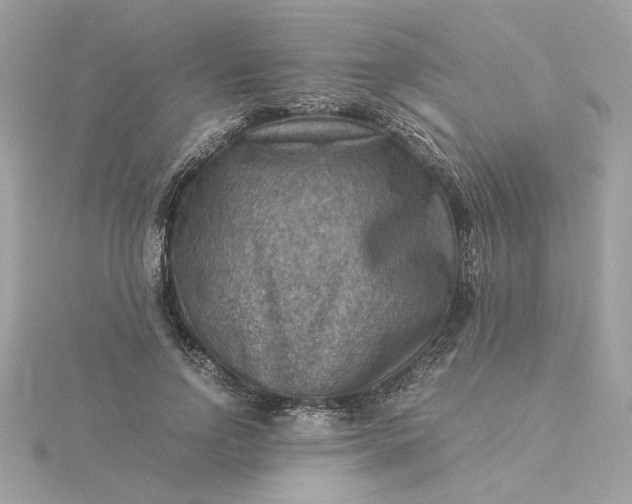 X0000116060742200912041853