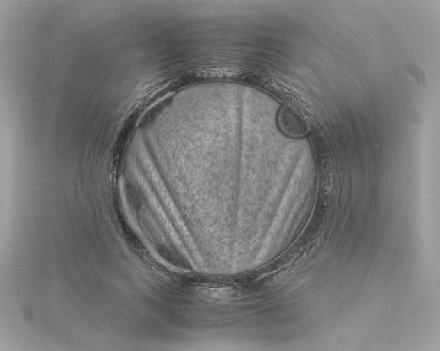 X0000116060743200912041853