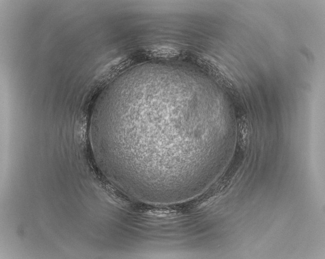 X0000116060745200912041853