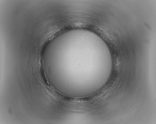 X0000116060746200912041853