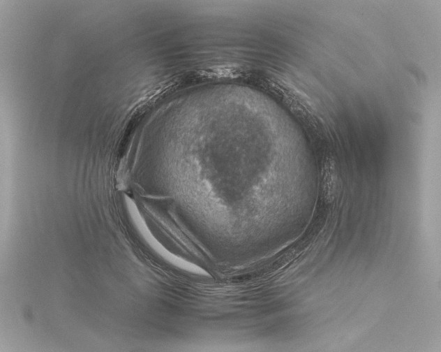 X0000116060747200912041853