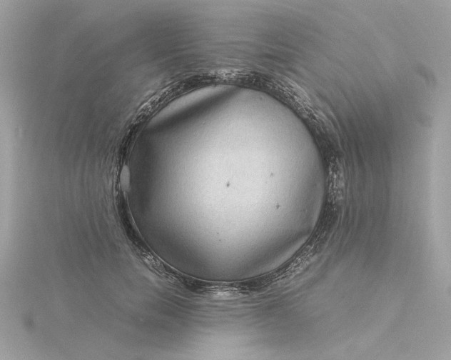 X0000116060750200912041853