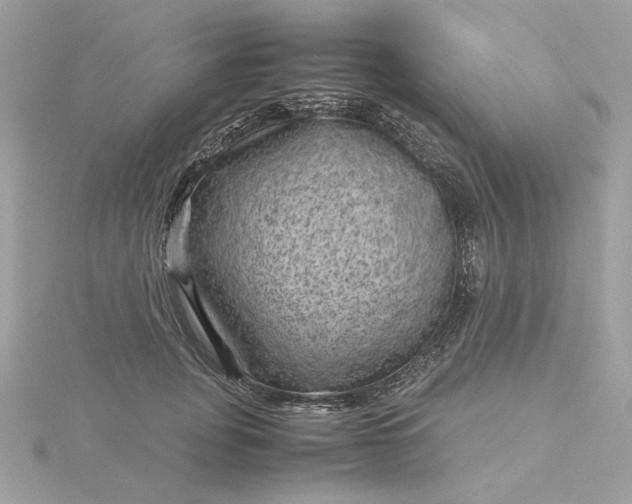 X0000116060751200912041853