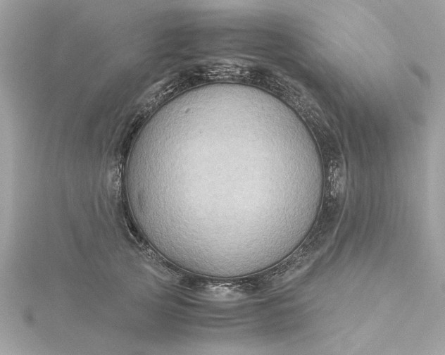 X0000116060753200912041853