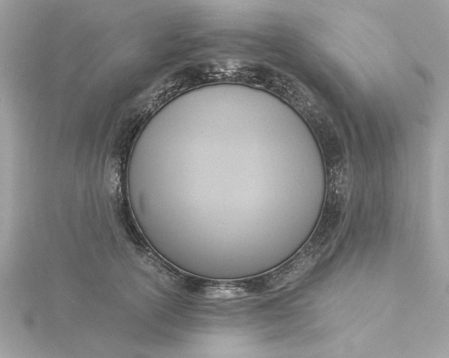 X0000116060754200912041853