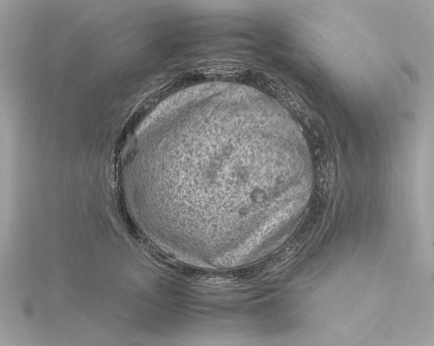 X0000116060755200912041853