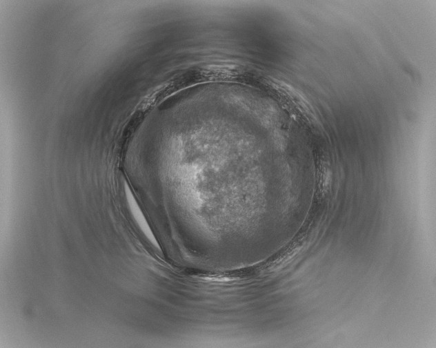 X0000116060759200912041853