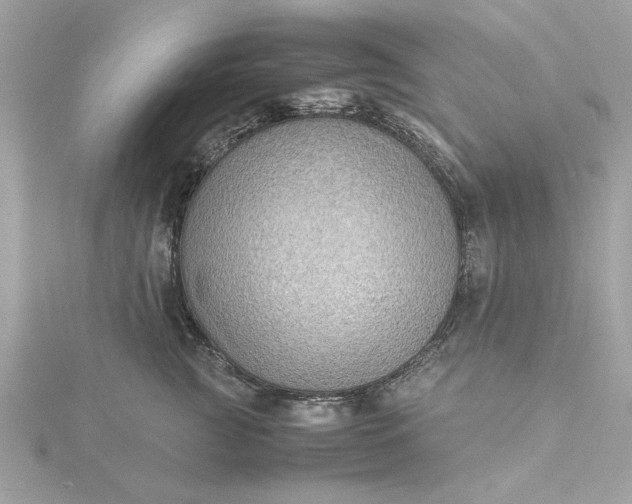 X0000116060761200912041853