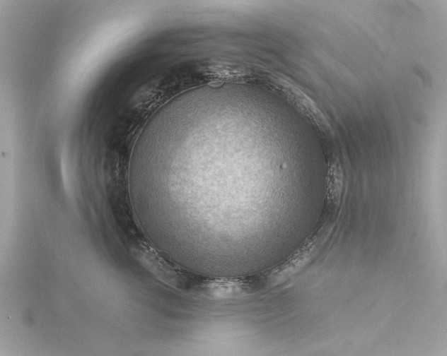 X0000116060762200912041853