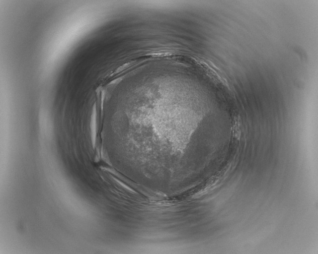 X0000116060763200912041854