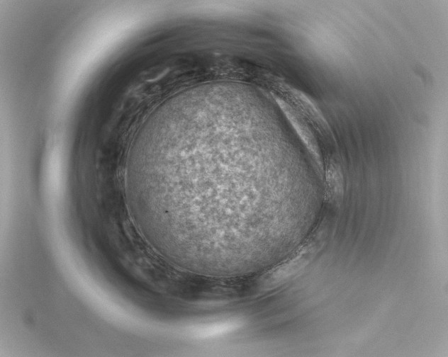 X0000116060765200912041854