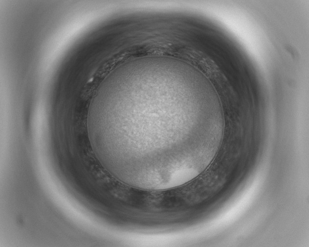 X0000116060767200912041854