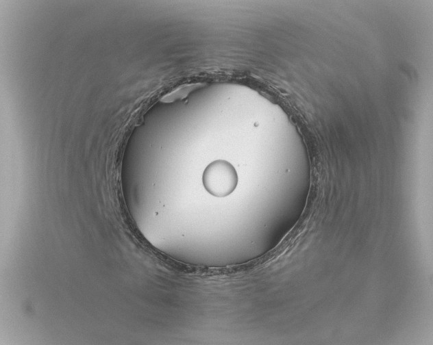 X0000116060769200912041853