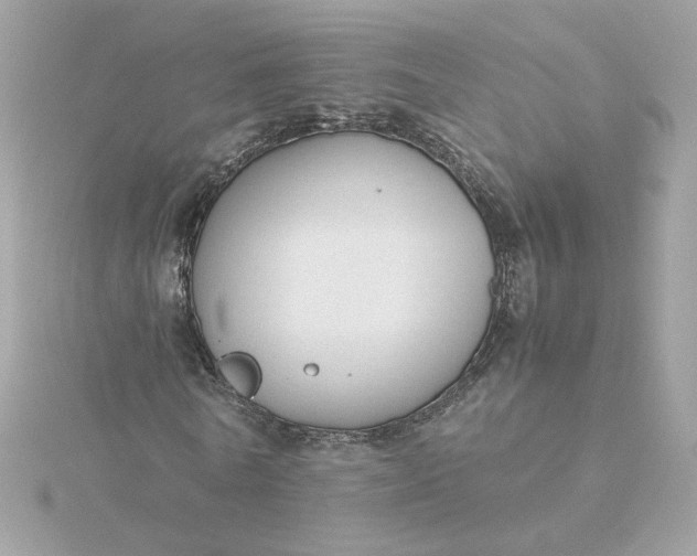 X0000116060770200912041853