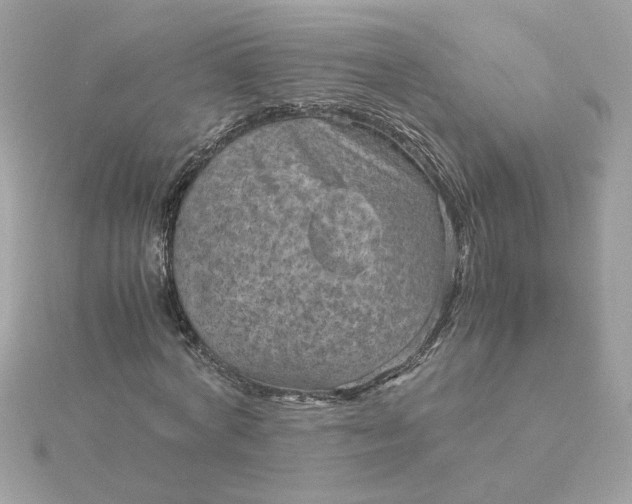 X0000116060772200912041853