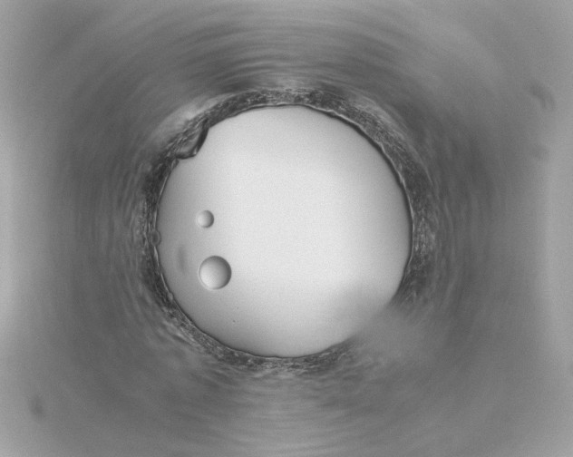 X0000116060773200912041853