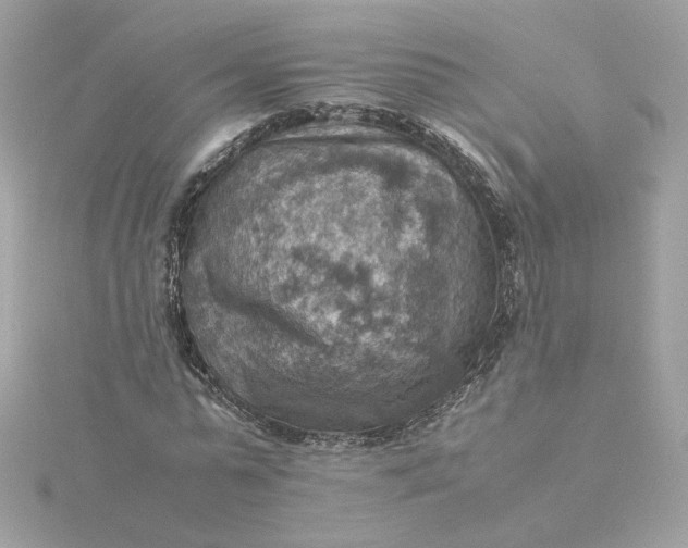 X0000116060775200912041853