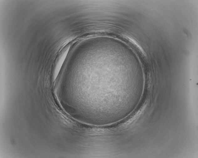 X0000116060777200912041853