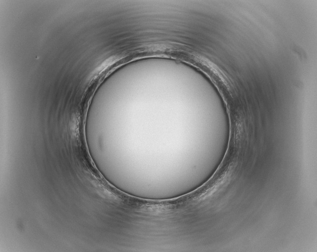 X0000116060778200912041853