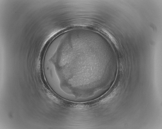 X0000116060779200912041853