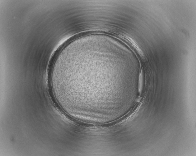 X0000116060780200912041853