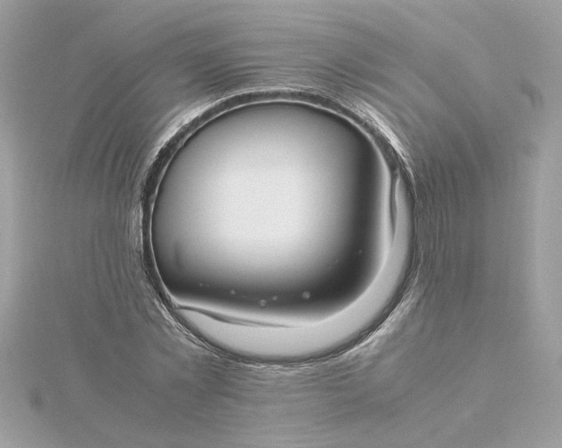 X0000116060781200912041853