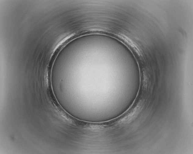 X0000116060782200912041853