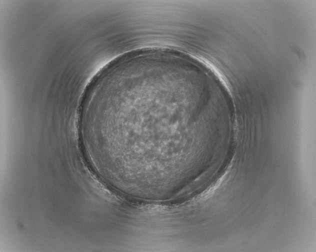 X0000116060783200912041853