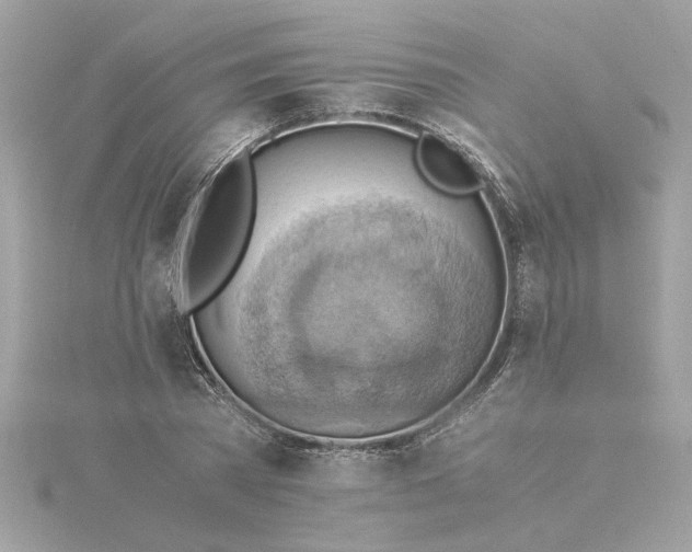 X0000116060785200912041853