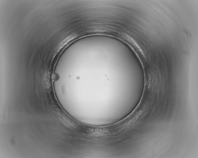 X0000116060786200912041853