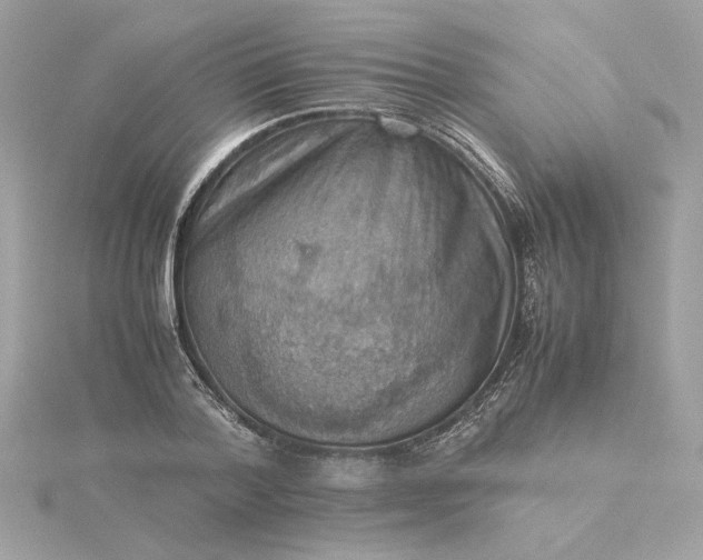 X0000116060788200912041853