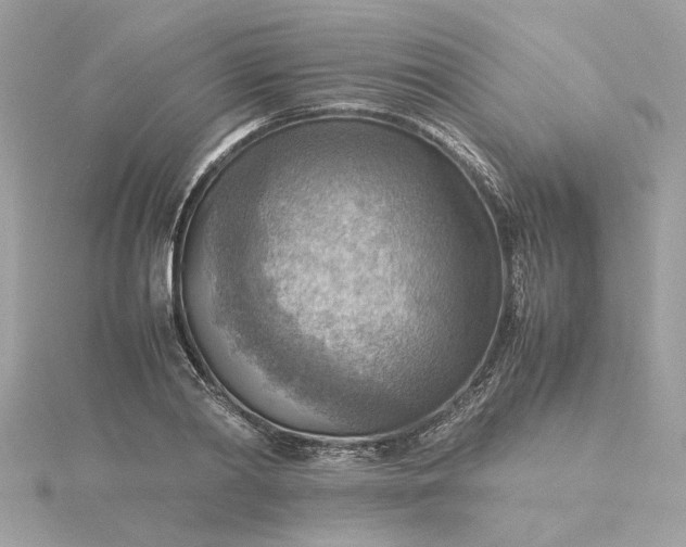 X0000116060790200912041853