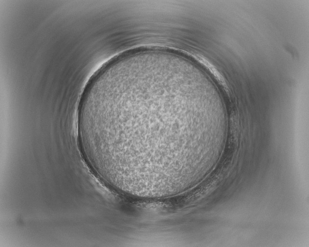 X0000116060791200912041852