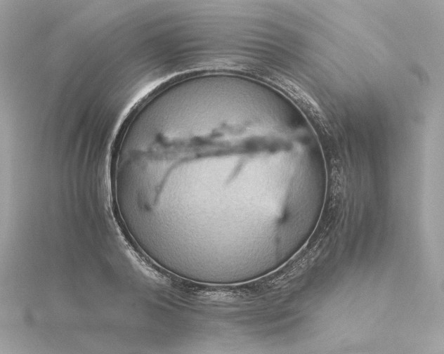 X0000116060792200912041852