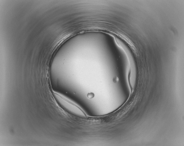 X0000116060793200912041852