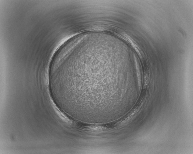 X0000116060795200912041852