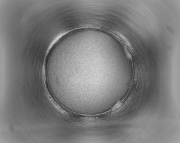 X0000116060796200912041852