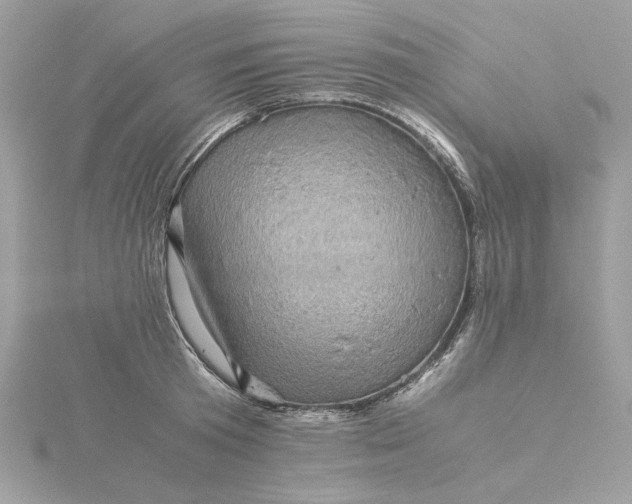 X0000116060801200912041852