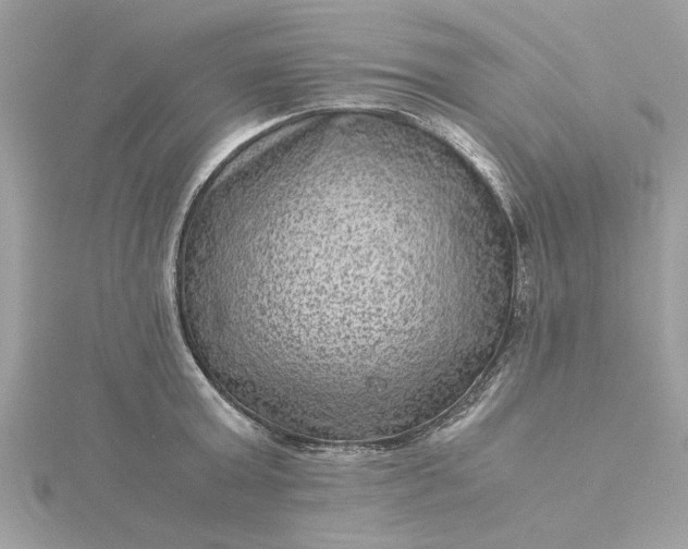 X0000116060803200912041852