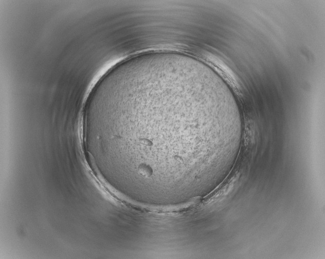 X0000116060804200912041852