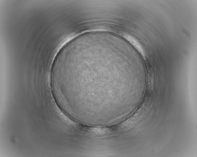 X0000116060805200912041852