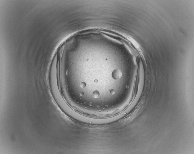 X0000116060807200912041852