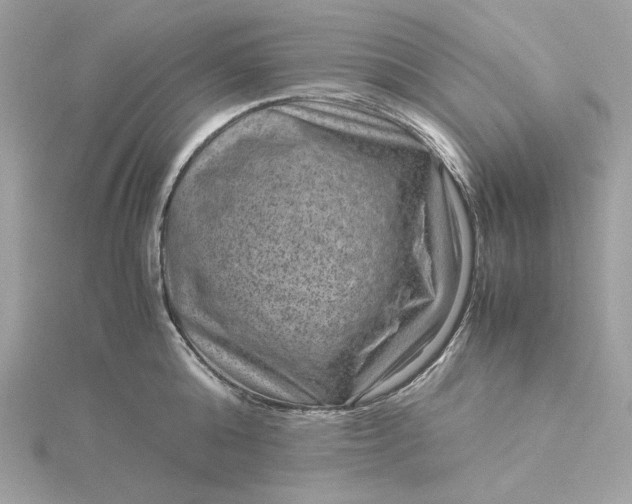 X0000116060808200912041852