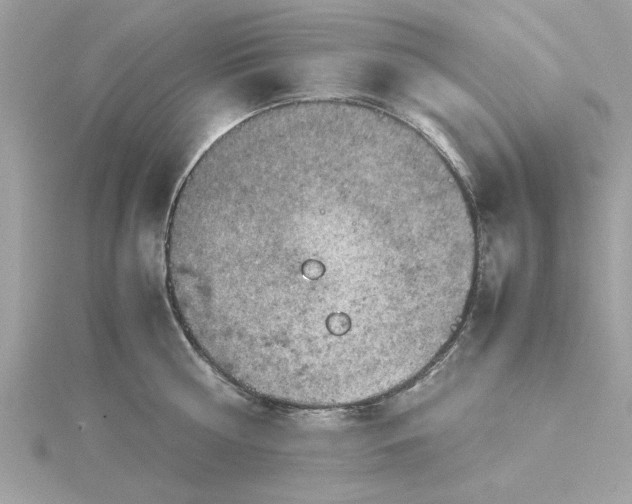 X0000116060810200912041852