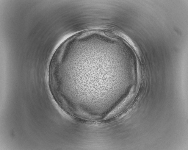 X0000116060811200912041852