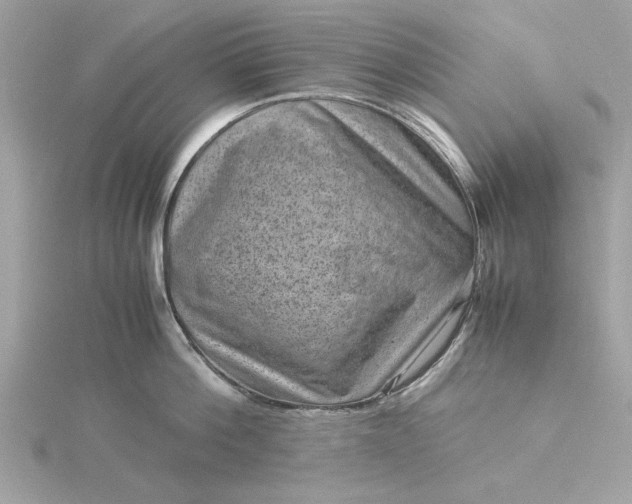 X0000116060812200912041852