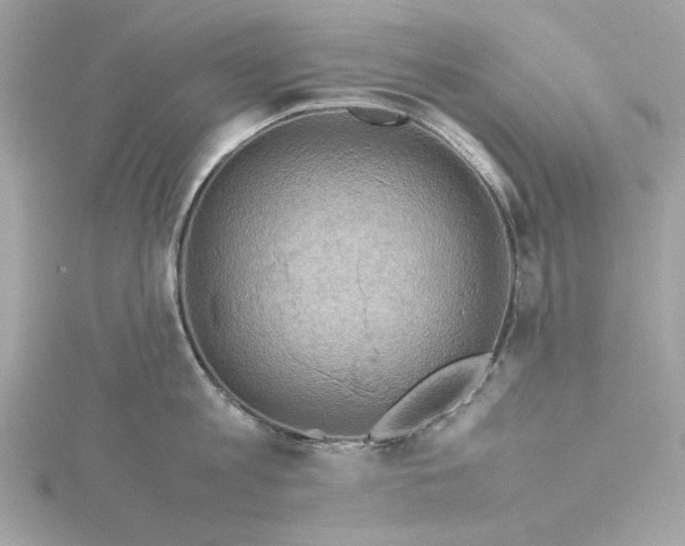 X0000116060813200912041852