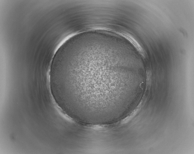 X0000116060814200912041852