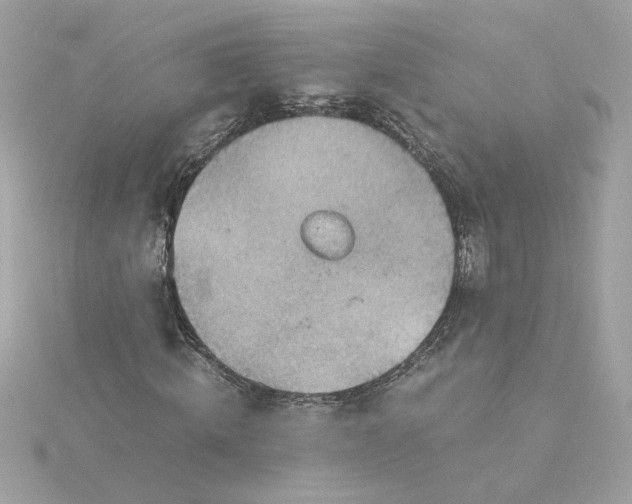 X0000116060820200912041852